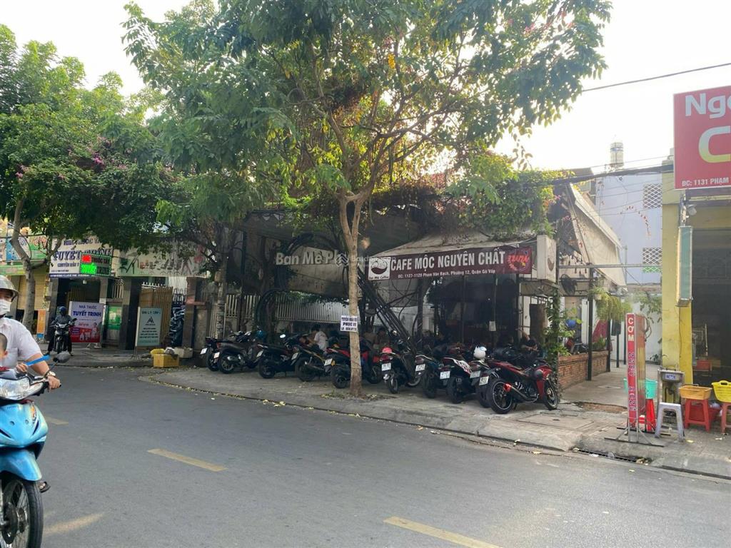 Bán nhà mặt tiền phạm văn bạch, gò vấp dt 9x19m, 1 lầu giá 27 tỷ tl