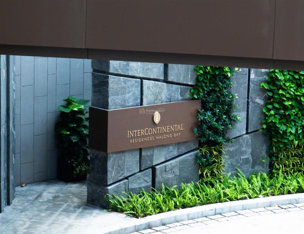 Căn hộ intercontinental có bể bơi riêng, sổ hồng riêng, full nội thất 5 sao, giá tốt nhất của cđt