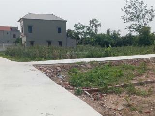 Bán đất gia bình, bắc ninh. 130m2 * mt 5m * 1,72 tỷ. đường ô tô, full thổ cư.