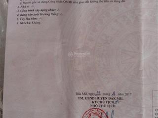 Đất cà phê 2500 cây năm thứ 5 nguồn thu mạnh sổ sẵn đất thịt ngay quốc lộ 14a 5km