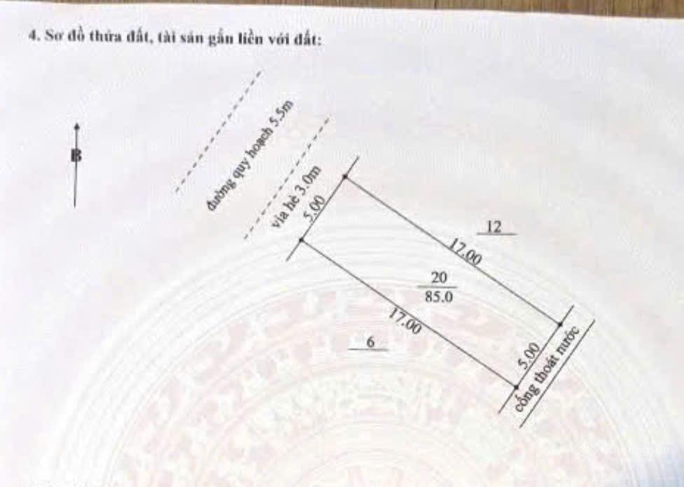 "bán trong tuần" đất mặt tiền tđc ngô sĩ liên gần hoàng thị loan, hồ tùng mậu | 85m2 sạch đẹp