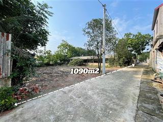 Bán 3 sào trang trại trong khu trang trại cấn hữu, quốc oai đã đổ đất có trang trại cũ 300m