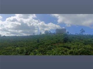 Bán trang trại, khu nghỉ dưỡng tại xã tân nghĩa, 6,5 tỷ, 12300 m2  giá siêu hời, uy tín