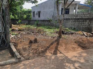 Cần bán 215m2 có 120m2 thổ cư cách cụm công nghiệp và trường học cấp 1,2,3 khoảng 200m