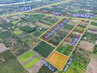 560m2 vườn đường ô tô tải quay đầu đang trồng chanh thu hoạch view kênh