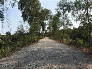 500m2 lương hoà đường ô tô view kênh thoáng mát