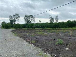 Đất vườn view kênh đường hiện sổ 6m kv chuyển thổ, cách nhựa kênh xáng đang lên 200m