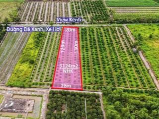 3124m2 đường đá xanh 2 mặt tiền, nở hậu, đất đang trồng chanh