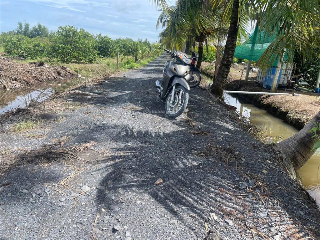 1500m2 đường ô tô, chanh đang thu hoạch, đất bằng lộ đường ô tô tải quay đầu