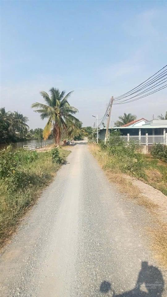 Đất rẻ cho ace công nhân chỉ 290tr 1 lô 500m2 đg ô tô đang trồng chanh