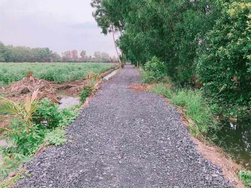 Đất rẻ cho ace công nhân chỉ 290tr 1 lô 500m2 đg ô tô đang trồng chanh