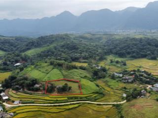 Bán 3000m2 giá rẻ đất view cánh đồng tuyệt đẹp, ngay gần đèo đá trắng hòa bình