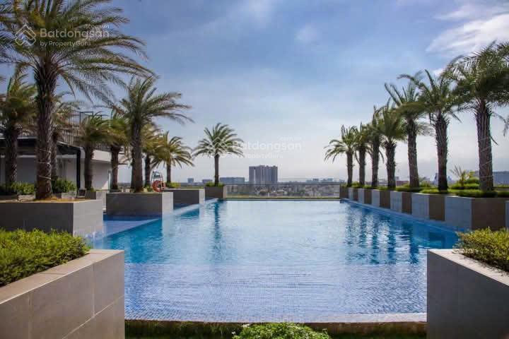 Officetel 28m2 nhà cơ bản giá rẻ (rèm, máy lạnh, tủ bếp)  gần rmit, tdtu, phú mỹ hưng  gặp phụng