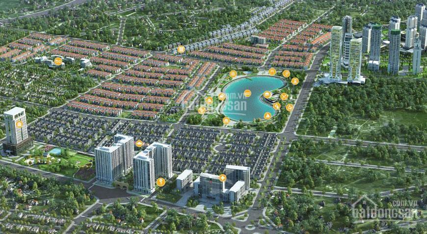 Gia đình tôi cần bán căn góc biệt thự khu a, đtm dương nội, nam cường. cạnh hồ công viên 0989 695 ***