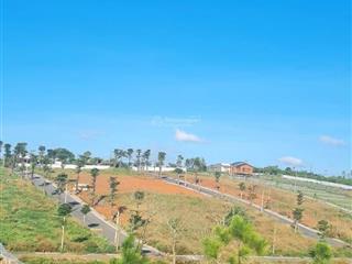 Bán đất view đồi tại lộc an, bảo lâm