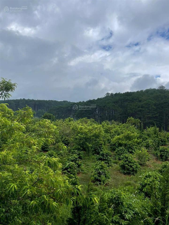 Bán đất view đẹp xã trạm hành , đà lạt