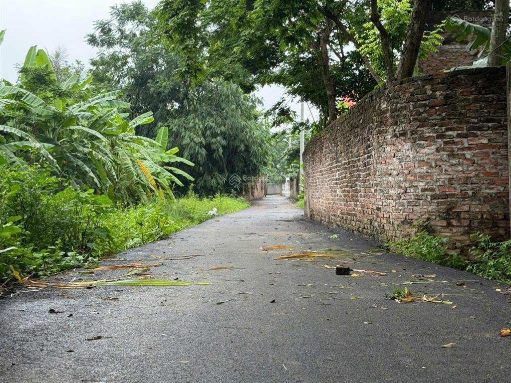 Giá hơn tỷ đất tại xã liên châu  yên lạc  vĩnh phúc