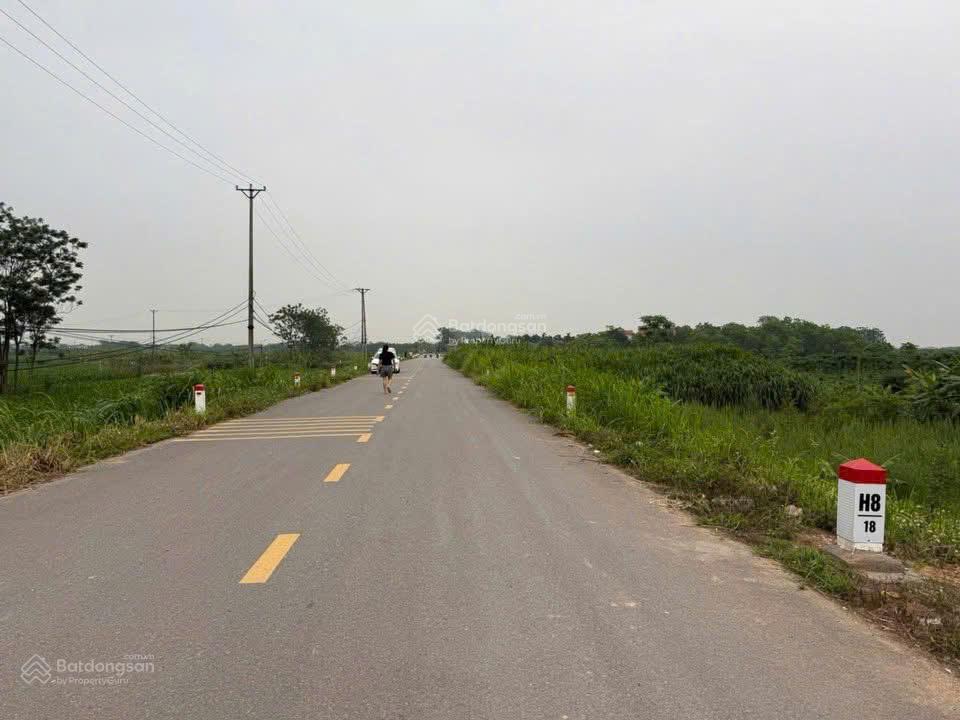 Bán 100m2 đất mặt đê bối sông hồng tại xã liên châu, yên lạc (cũ)