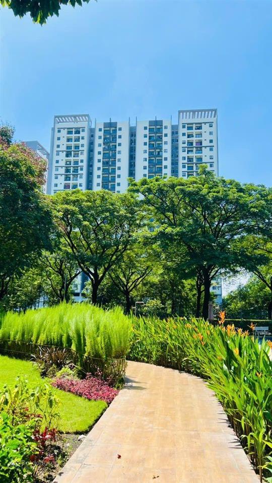 Cập nhật giỏ hàng setia edenia từ cđt studio giá 2t3, 1pn giá 2tỷ8, 2pn giá 3tỷ45, 3pn 4tỷ8 ck 5,5%