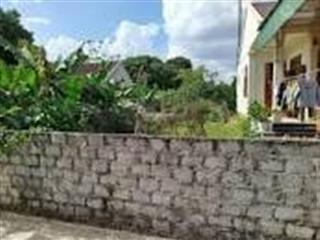 Bán nhanh lô đất hướng đông nam dt 175m² (7x25) tại khối tân hồng, thị trấn nghĩa đàn