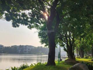 Sống sang trong biệt thự song lập khu đô thị khoáng nóng đầu tiên bên sông hồng  alluvia city
