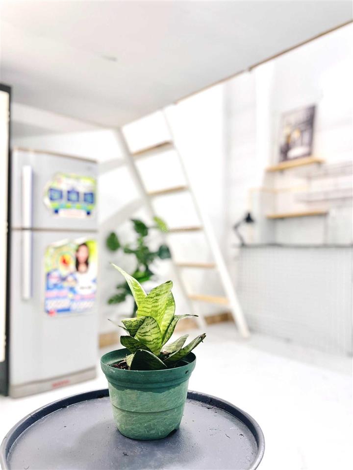 Phòng chdv duplex cao cấp ngay kdc nam long  ngã tư ga  q12 giáp gò vấp