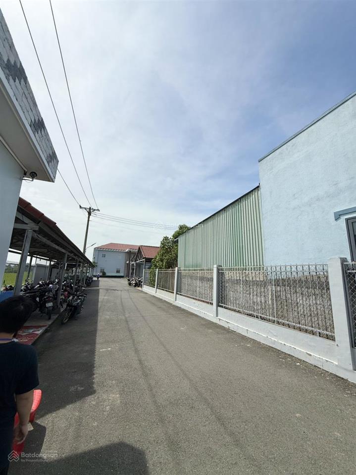 Đất 8.200m2 + nhà xưởng 4.200m2, mặt tiền dt830 gần ngã tư ql50. đang có sẵn hđ thuê .