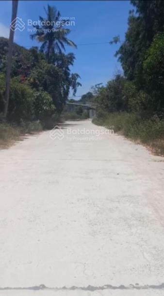 Bán đất 196m2 cam phúc bắc, p bắc cam ranh, cam ranh, khánh hòa