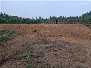 Chính chủ bán lô đất cách đền hùng 1km. khu 8 xã chu hóa, việt trì, phú thọ