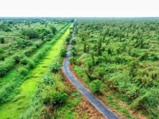 Chuyển nhượng dự án trồng rừng. huyện tân uyên. tỉnh lai châu. diện tích 5146 ha.