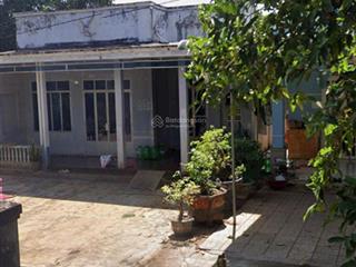 Bán đất tại trần hưng đạo, ngãi giao, châu đức, bà rịa vũng tàu, giá tốt, 2422.5 m2