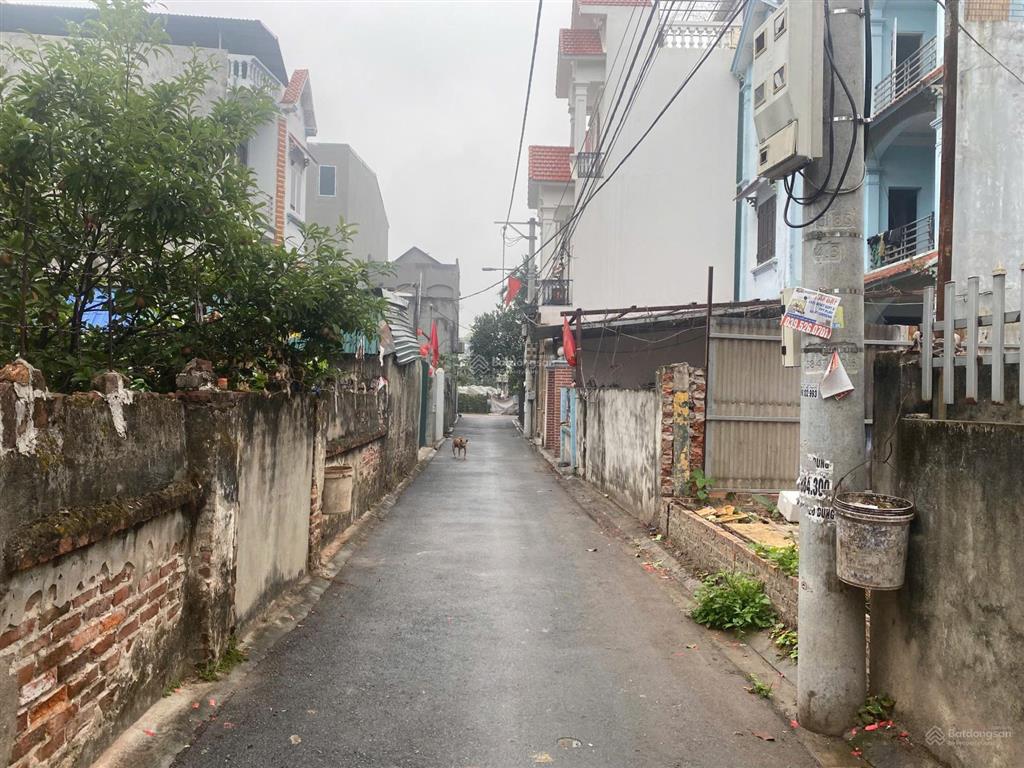 Chính chủ bán 65.4m2 đất xuân thuỵkiêu kỵ đường thông xe 16c mặt tiền 4.5m vuông vắn, giá 5.35 tỷ