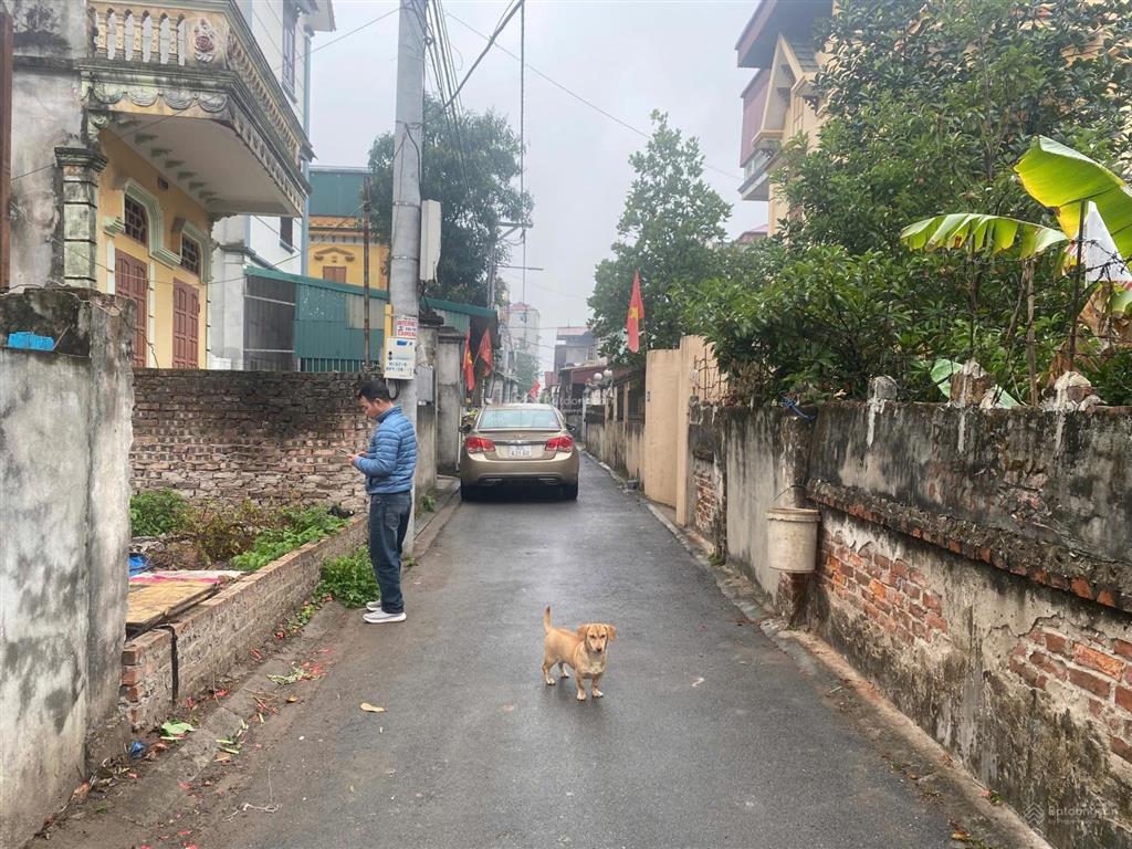 Chính chủ bán 65.4m2 đất xuân thuỵkiêu kỵ đường thông xe 16c mặt tiền 4.5m vuông vắn, giá 5.35 tỷ