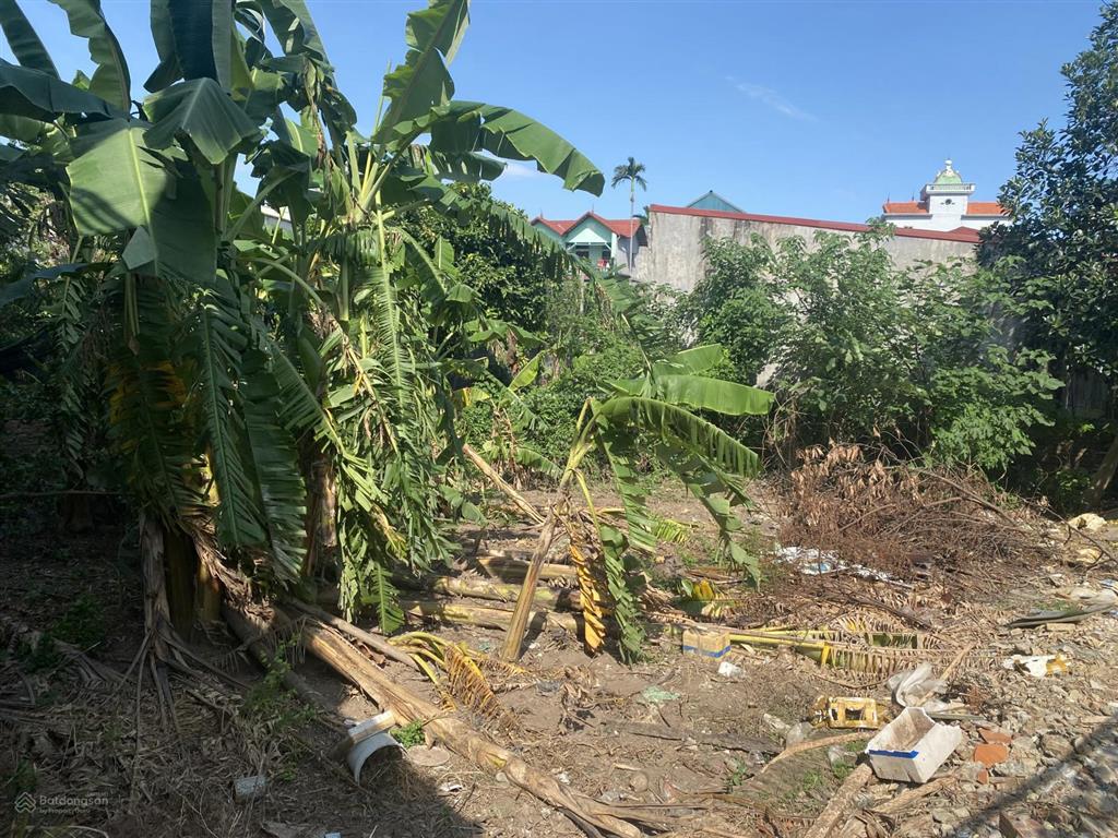 Chỉ 31 triệu/m2 sở hữu luôn 247m2 đất sổ đỏ cự khối  lb  hn mặt tiền 18m ô tô vào,  0902 132 ***