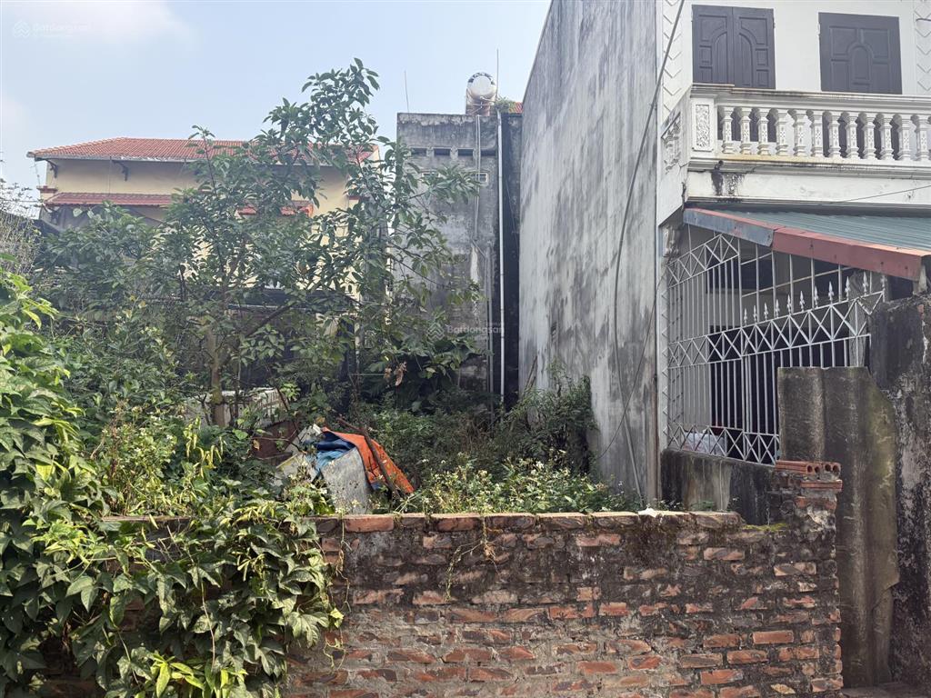 60.5m2 đất sổ đỏ tại cự khối tp hn đường xe vf3 vào cách ô tô tránh 50m giá 6.3tỷ   0902 132 ***