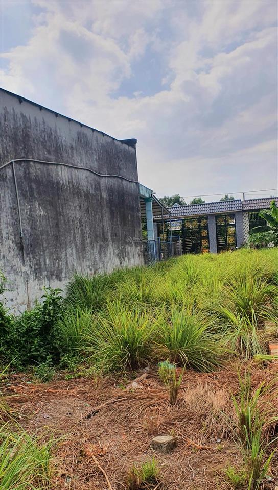 Chính chủ bán đất sổ đỏ thổ cư 100% tại phú đông, nhơn trạch, đồng nai full thổ