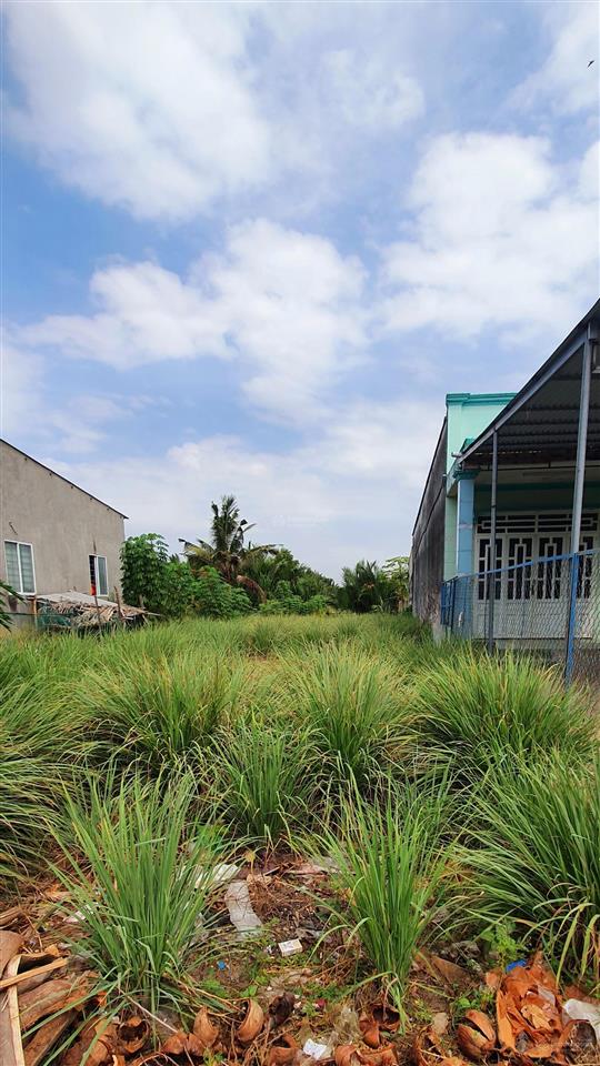 Chính chủ bán đất sổ đỏ thổ cư 100% tại phú đông, nhơn trạch, đồng nai full thổ