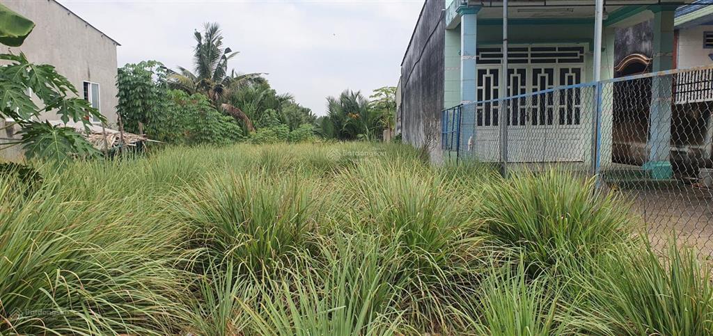 Chính chủ bán đất sổ đỏ thổ cư 100% tại phú đông, nhơn trạch, đồng nai full thổ