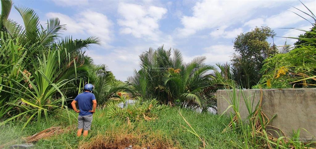 Chính chủ bán đất sổ đỏ thổ cư 100% tại phú đông, nhơn trạch, đồng nai full thổ