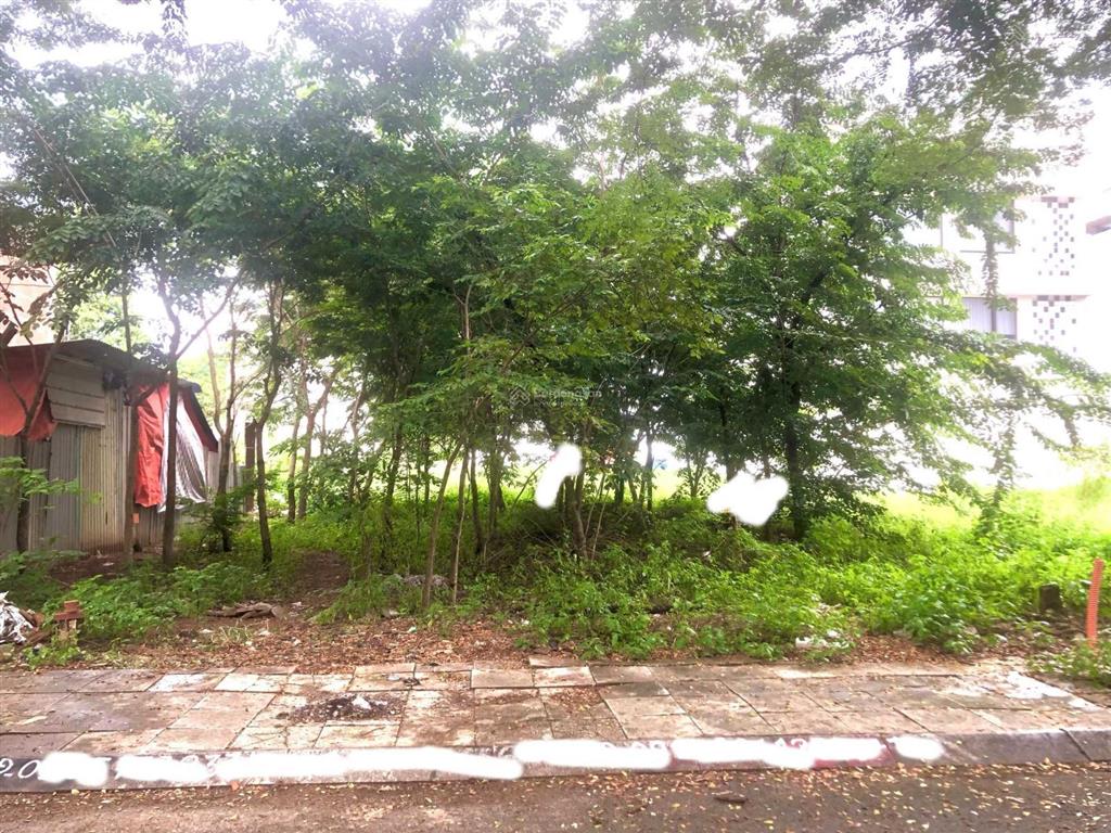 Bán lô biệt thự khu dự án villa thủ thiêm 8x20m, đối diện công viên xanh mát mà giá rẻ chỉ 150tr/m2