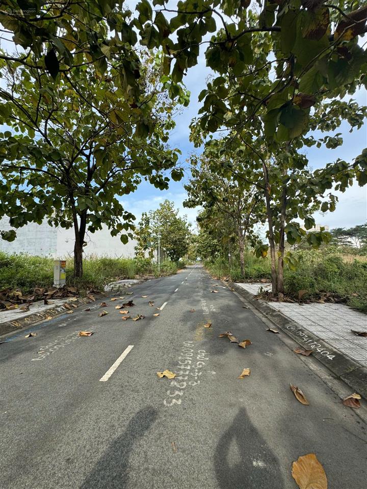 Chính chủ bán nhanh lô đất cát lái gần trường đại học, giá 65 triệu/m², sổ đỏ, hướng đông nam.