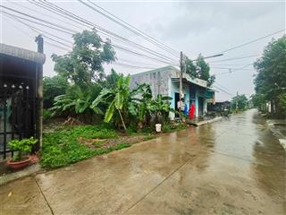 Bán đất tại đinh đức thiện, 106m2, view đẹp, bình chánh, hcm