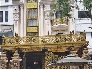 Chính chủ cho thuê nhà liền kề số 8 geleximco phố lê trọng tấn  hà đông. dt 151m x 5t. giá 31tr