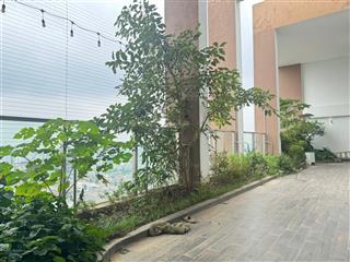 Cho thuê cc n01t4 ngoại giao đoàn giá thỏa thuận, 300m2, 3pn, 3wc