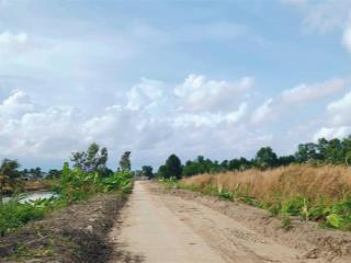 Đất làm vườn, lộ xe hơi, phường tân thành, tỉnh cà mau