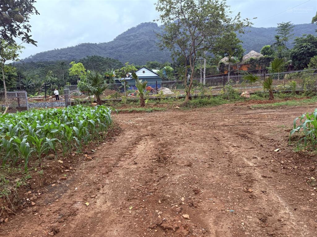 Cần chuyển nhượng lô đất nghỉ dưỡng tại thôn dy minh quang