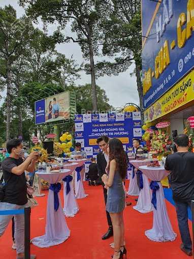 Cho thuê nhà góc 6mt số 241 đường nguyễn tri phương, p. 5, q. 10. dt 25x15m, 3 lầu. dtsd 460m2