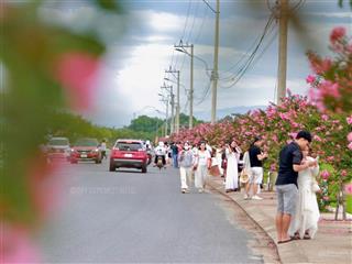 Bán đất duy vinh giáp hội an chỉ 7xx (x nhỏ)