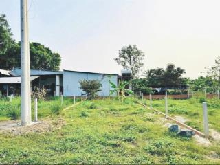 Chính chủ cần bán lô đất thổ cư 133m2 (6x22m) full thổ cư, xây dựng tự do, shr