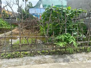 Bán lô đất 64,2mv chính chủ tại thôn phương chử bắc xã trường thành an lão